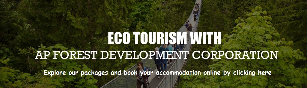 Eco Tourism